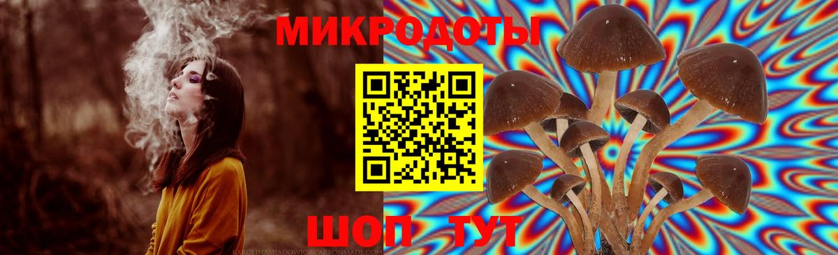 Котовск  купить  сайты  Вход с VPN  Галлюциногенные грибы Cubensis 
